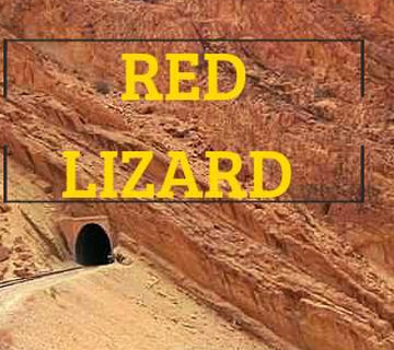 The red lizard train