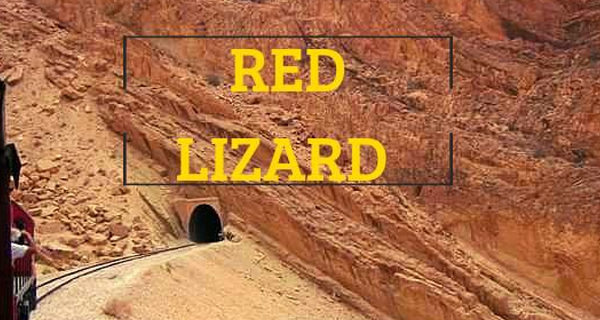 The red lizard train The red lizard train